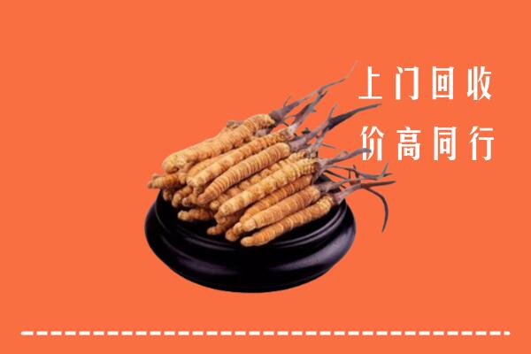涟源市冬虫夏草回收多少钱每克