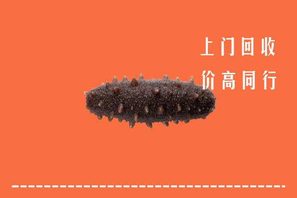 收购行情：涟源市回收海参